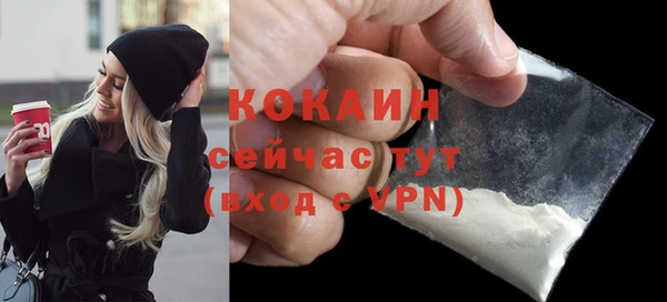 мескалин Ельня