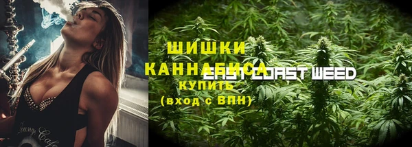 мяу мяу мука Елабуга